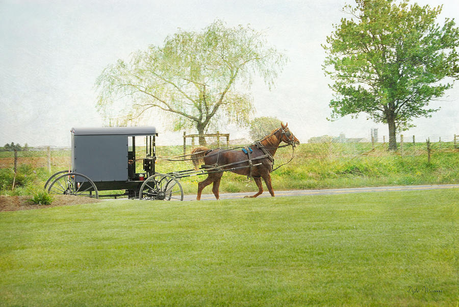 Springtime in Amish Country Photograph by Dyle   Warren