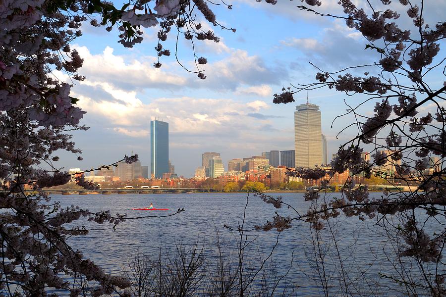 Springtime in Boston Photograph by Toby McGuire