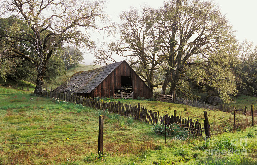 Architecture Photograph - Springtime In Mendocino County Ca by Ron Sanford