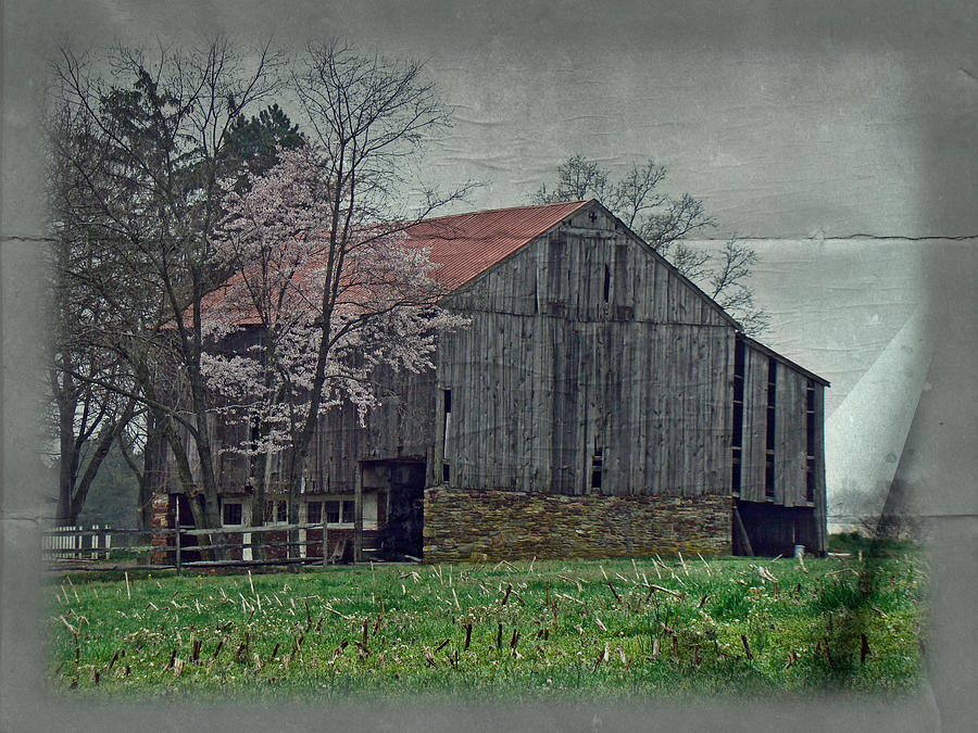 Springtime in Pennsylvania Farm Country Photograph by Carol Senske