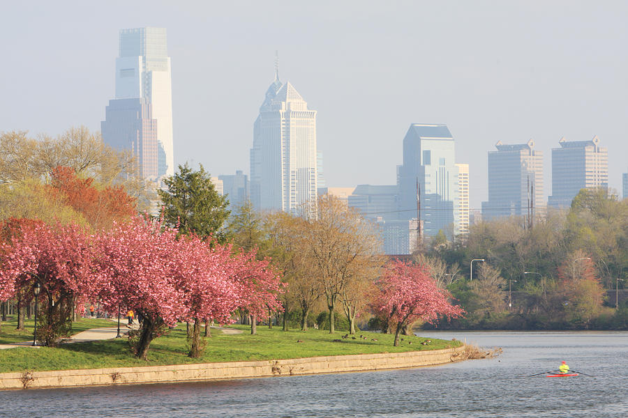 Springtime in Philadelphia city Photograph by Tongshan
