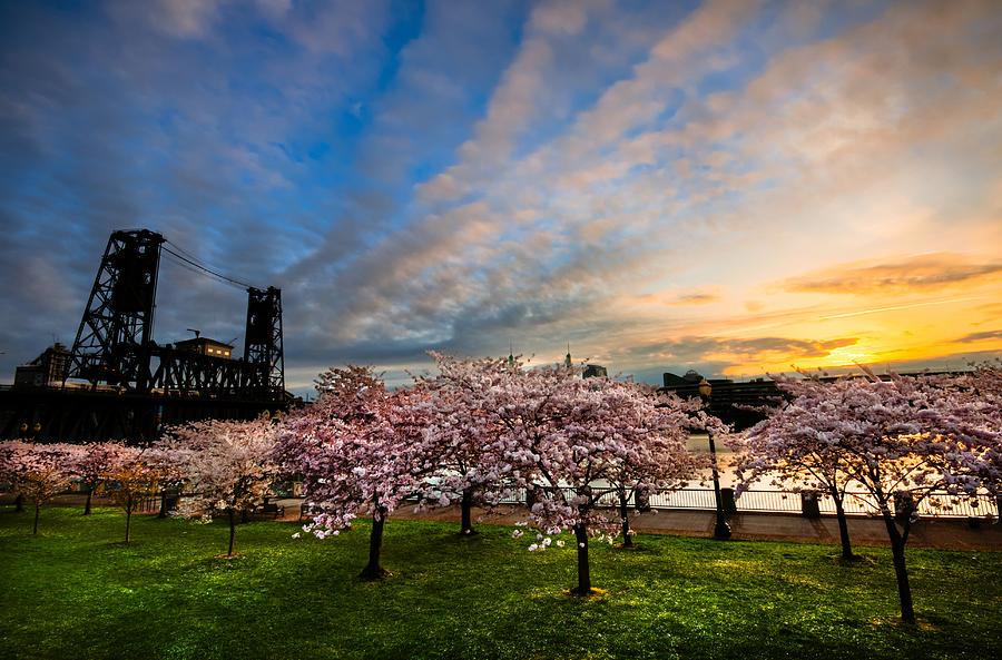 Spring Photograph - Springtime in Portland by Brian Bonham