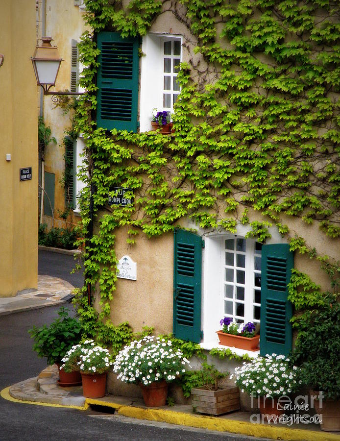 Springtime in Provence Photograph by Lainie Wrightson