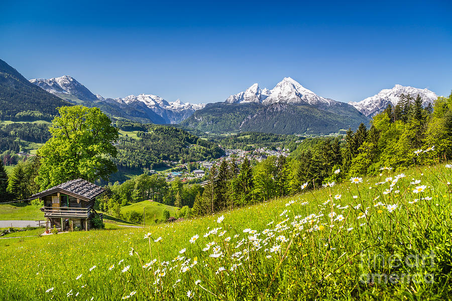 Springtime In The Alps Photograph by JR Photography