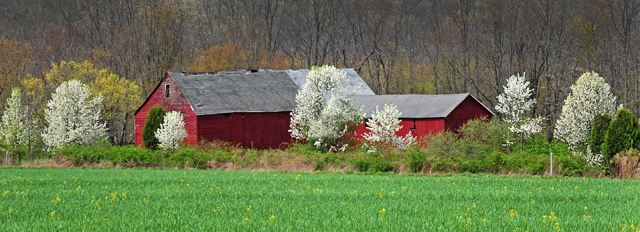 country springtime pictures