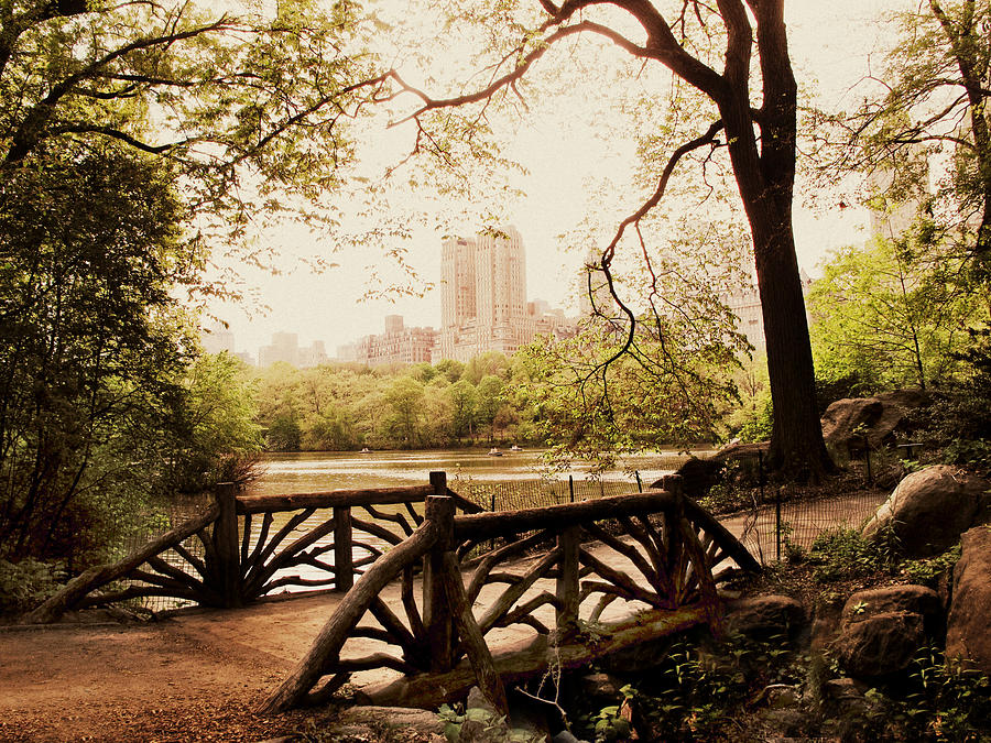 Central Park Photograph - Springtime in the Park by Jessica Jenney