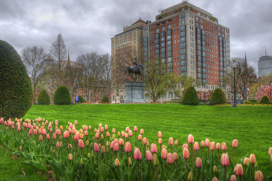 Springtime in the Public Garden - Boston Photograph by Joann Vitali