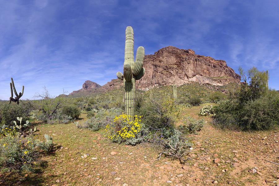 Springtime in the Superstition Mountains March 19 2013 Photograph by Brian Lockett