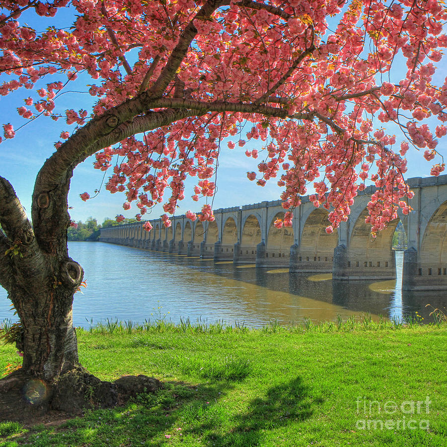 Springtime On The River Photograph by Geoff Crego