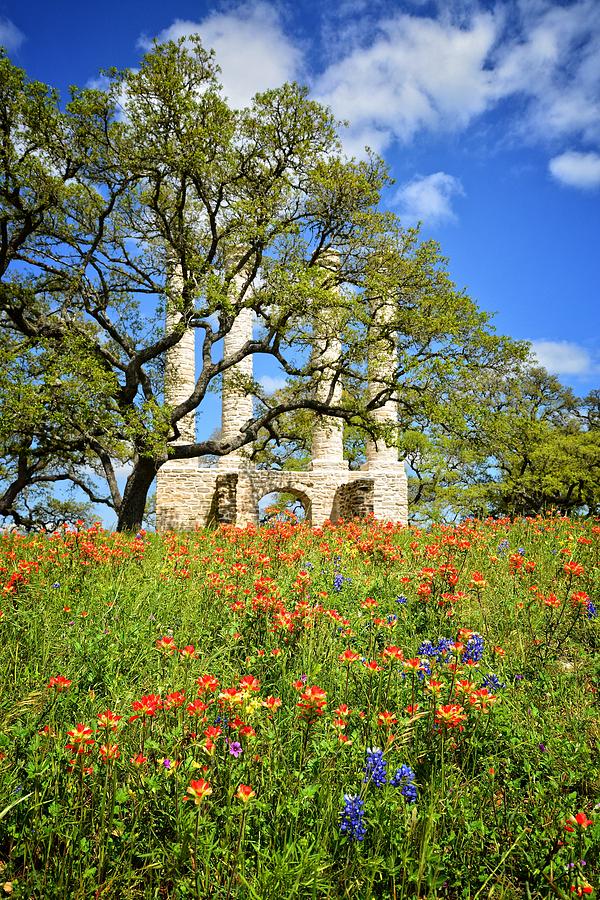 Springtime Ruins - Vertical Photograph by Lynn Bauer