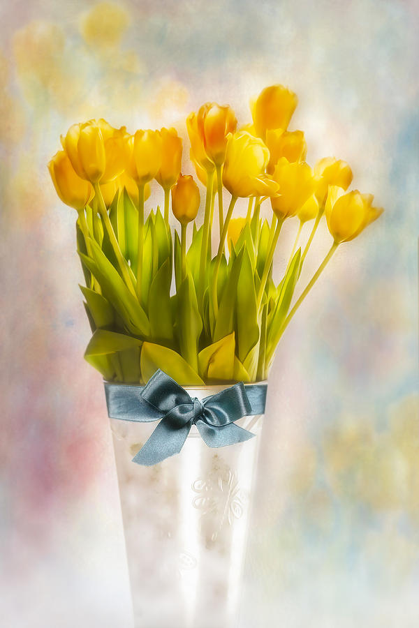 Tulip Photograph - Springtime by Susan Candelario