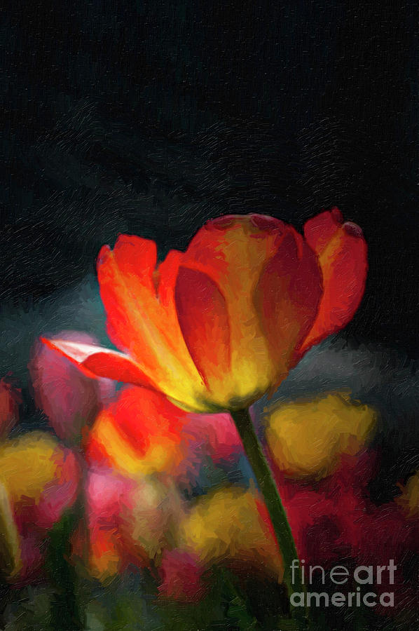 Springtime Tulips Digital Painting Photograph by Linda Matlow