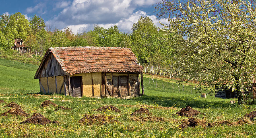 Springtime view on old traditional cottage Photograph by Brch Photography