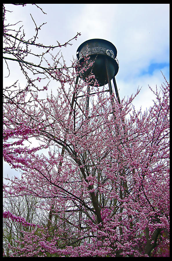 Springtime Water Tower Photograph by Ellen Tully