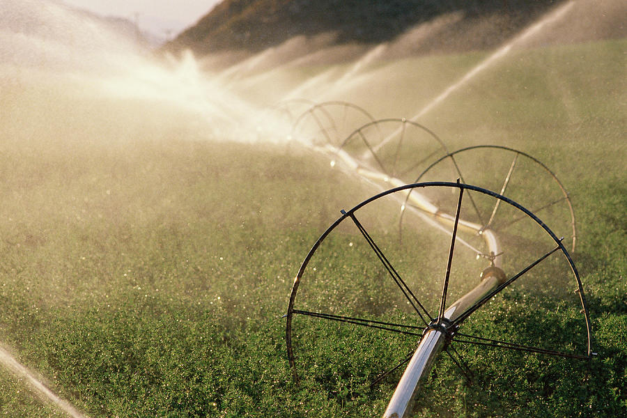 Nature Photograph - Sprinkler System With Wheels Watering by Panoramic Images