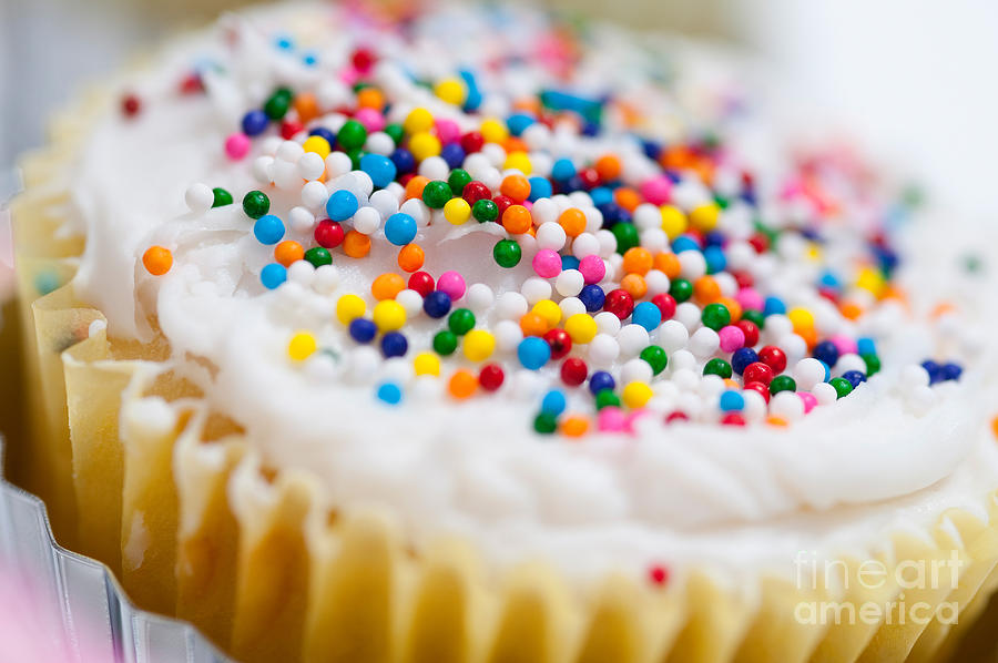 Sprinkles On A Cupcake Photograph by Jim Corwin