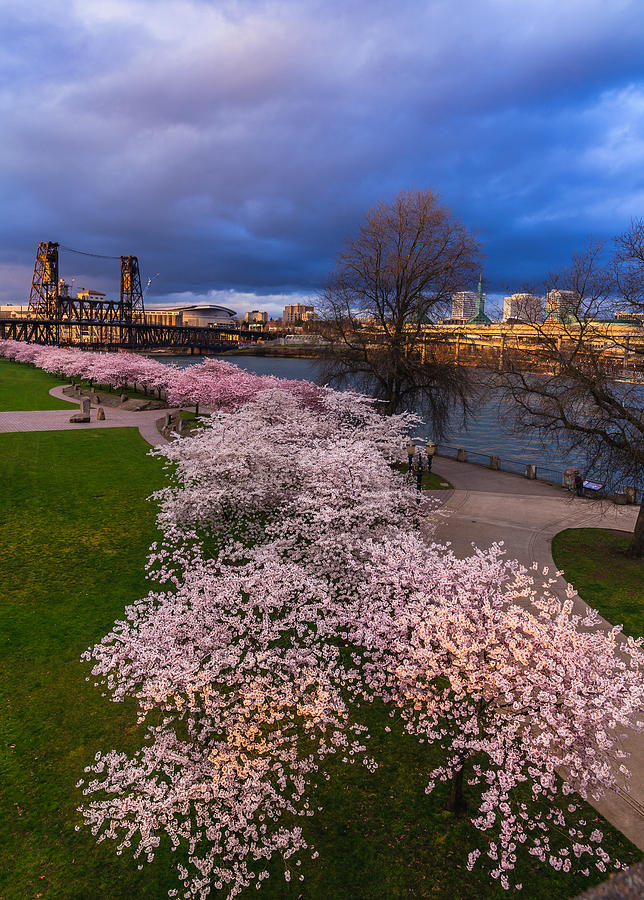 Sprintime at the Waterfront II Photograph by Michael Flaherty - Fine ...