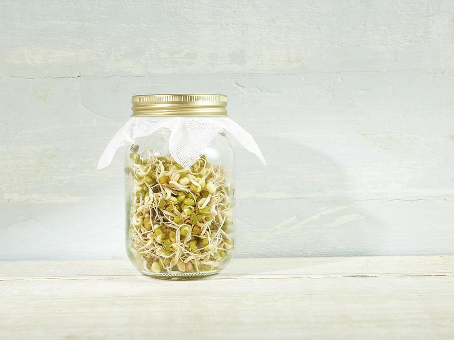 Sprouting Mung Beans In A Jar Photograph by Science Photo Library