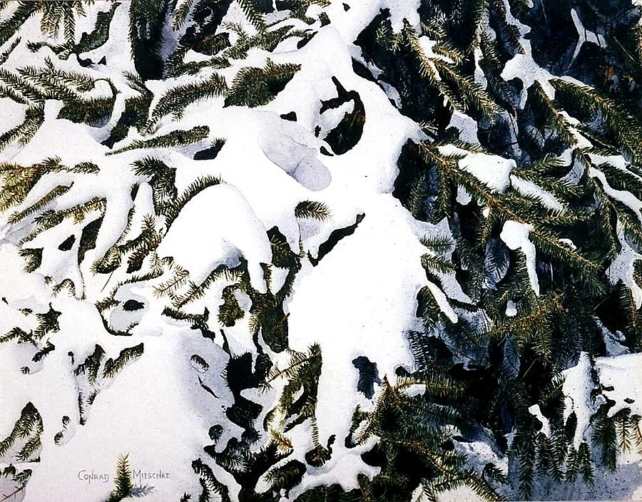 Spruce Painting by Conrad Mieschke