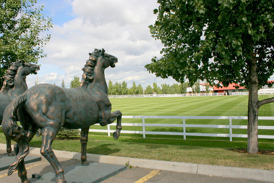 Spruce Meadows Photograph by Betty-Anne McDonald