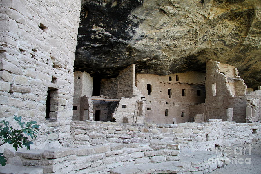 Spruce Tree House Archaeological Site Photograph by Christiane Schulze Art And Photography