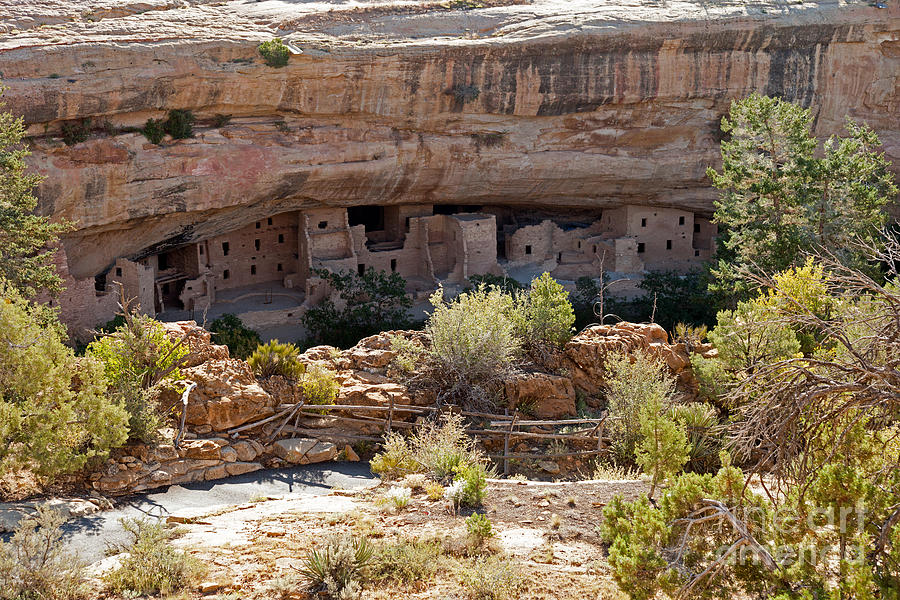 Spruce Tree House Mesa Verde National Park Photograph by Fred Stearns