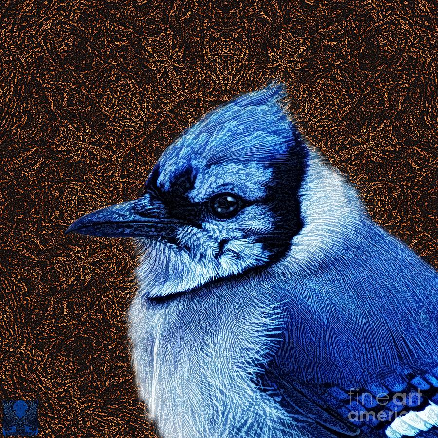 Sq Blue Jay Z L Photograph by Dale Crum