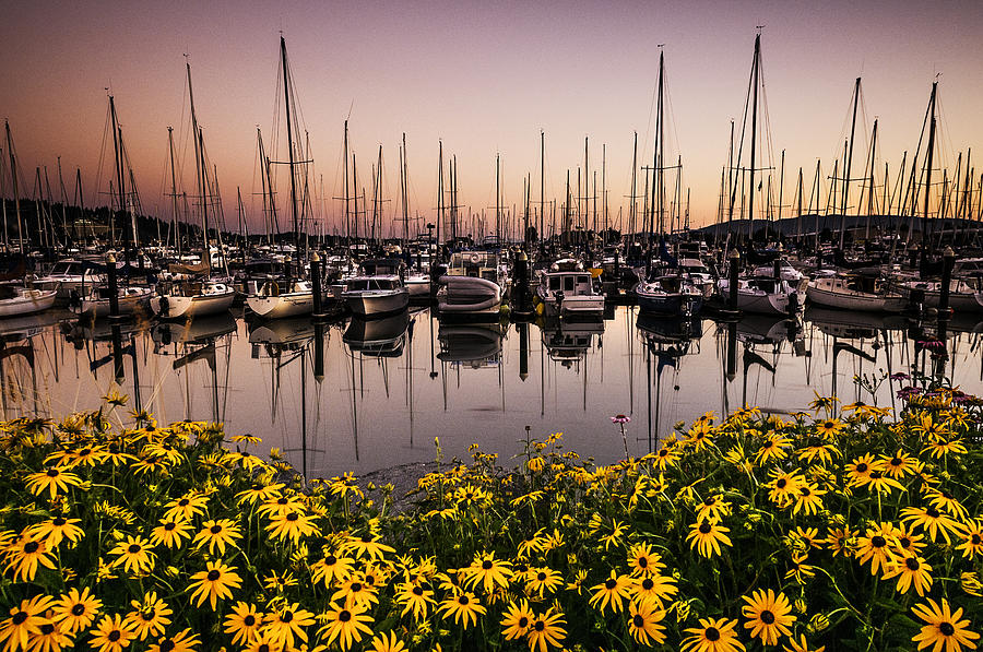 Sunset Photograph - Squalicum Harbor After Sunset by Paul Conrad