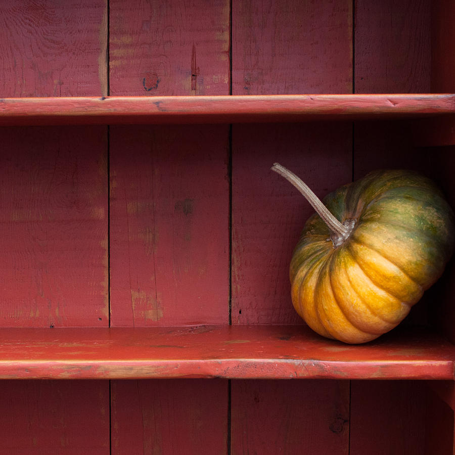 Pumpkin Photograph - Squash by Elizabeth Gray