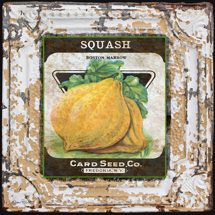 Squash on Vintage Tin Digital Art by Jean Plout