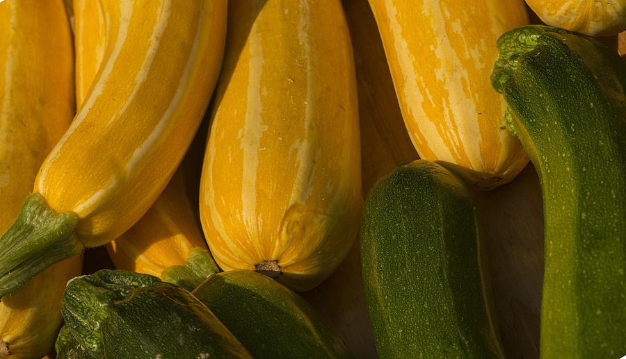 Vegetable Photograph - Squash by Phil And Karen Rispin
