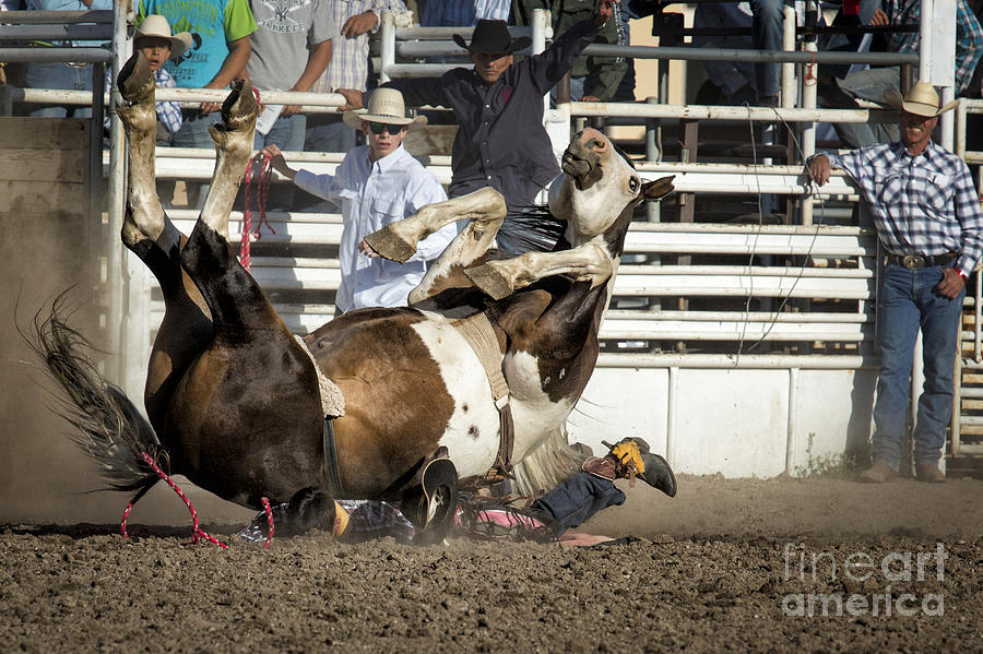 Rodeo Saddle Bronc Riding Fleece Blanket by Priscilla Burgers - Fine Art  America