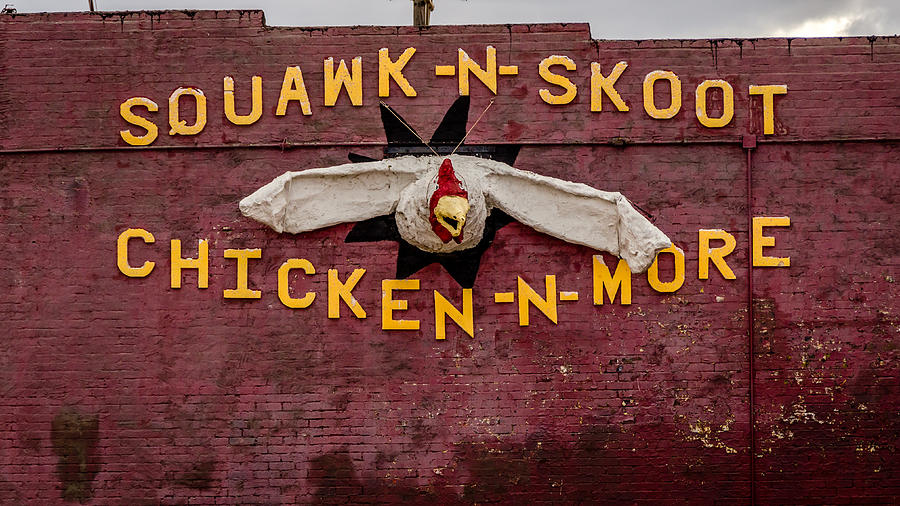 Squawk-N-Skoot Photograph by Debra Martz
