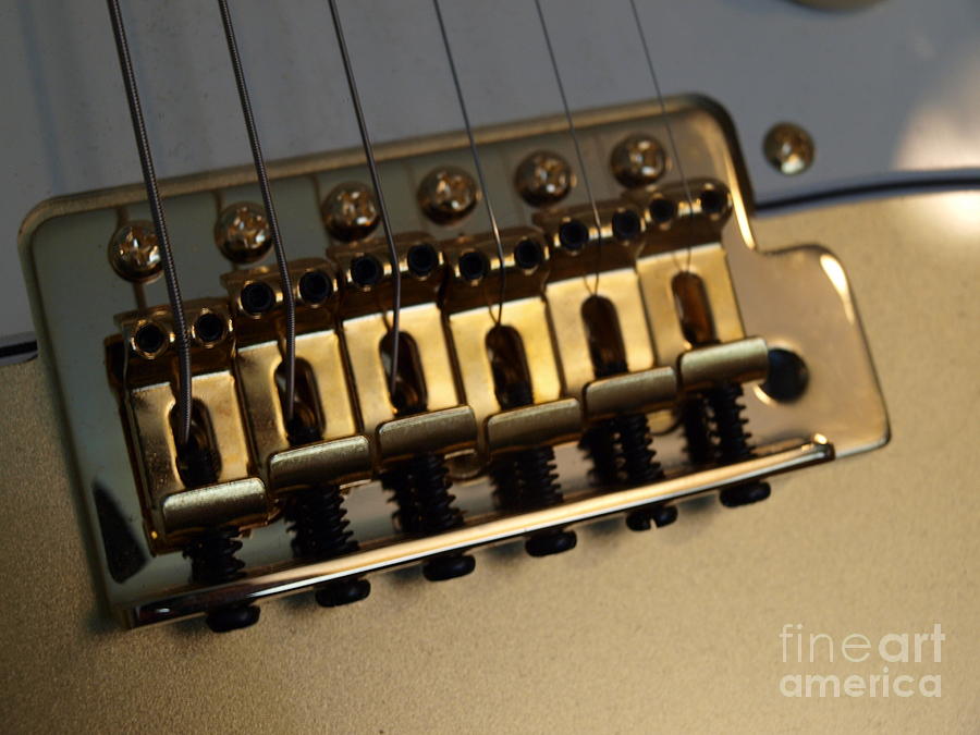 Squier Stratocastor Guitar - 5 Photograph by Vivian Martin