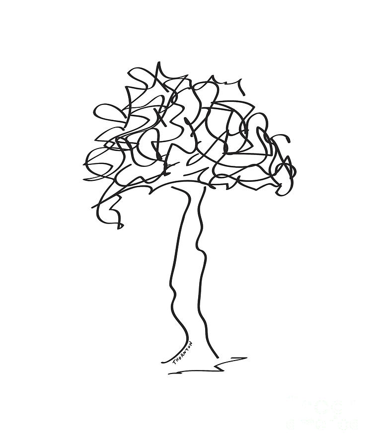Squiggle Tree 2 Drawing by Diane Thornton