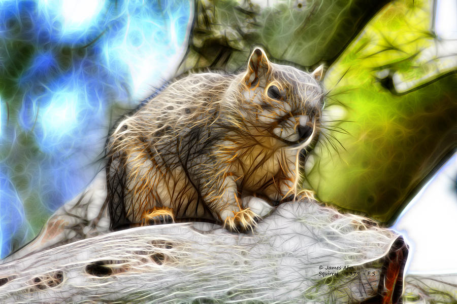 Squirrel - 8379- F - S Digital Art by James Ahn