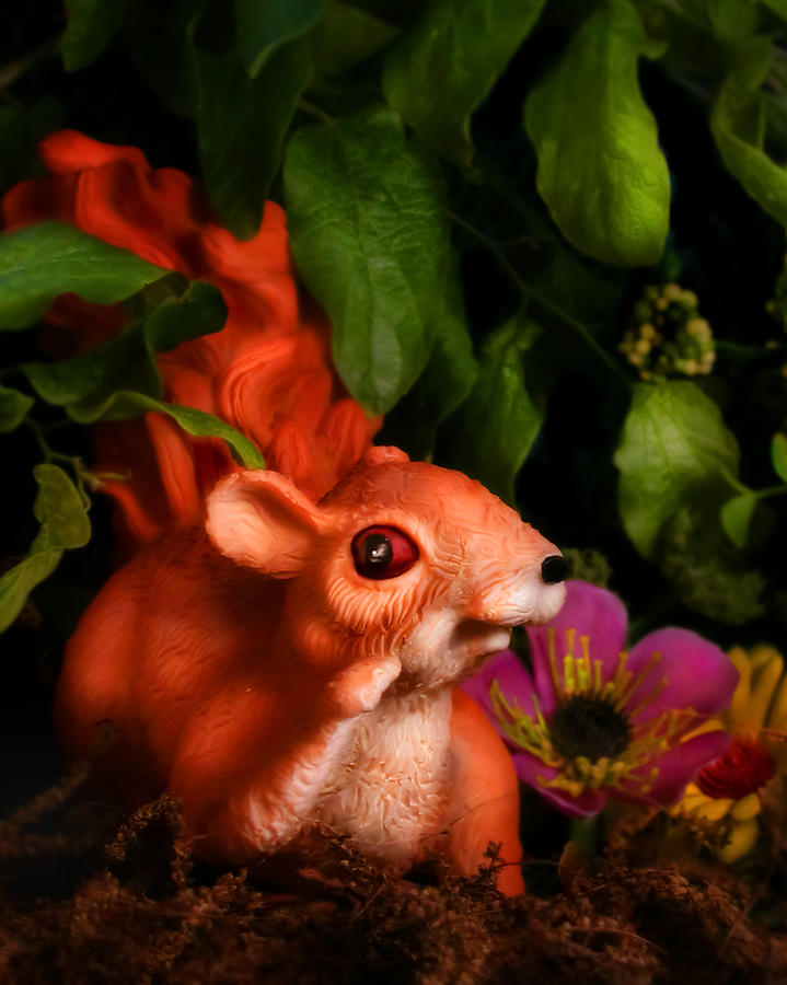 Surrealism Photograph - Squirrel by Diane Bradley