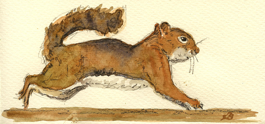 Wildlife Painting - Squirrel by Juan  Bosco