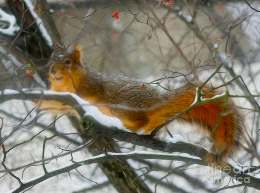 Squirrel Digital Art - Squirrel by Nur Roy
