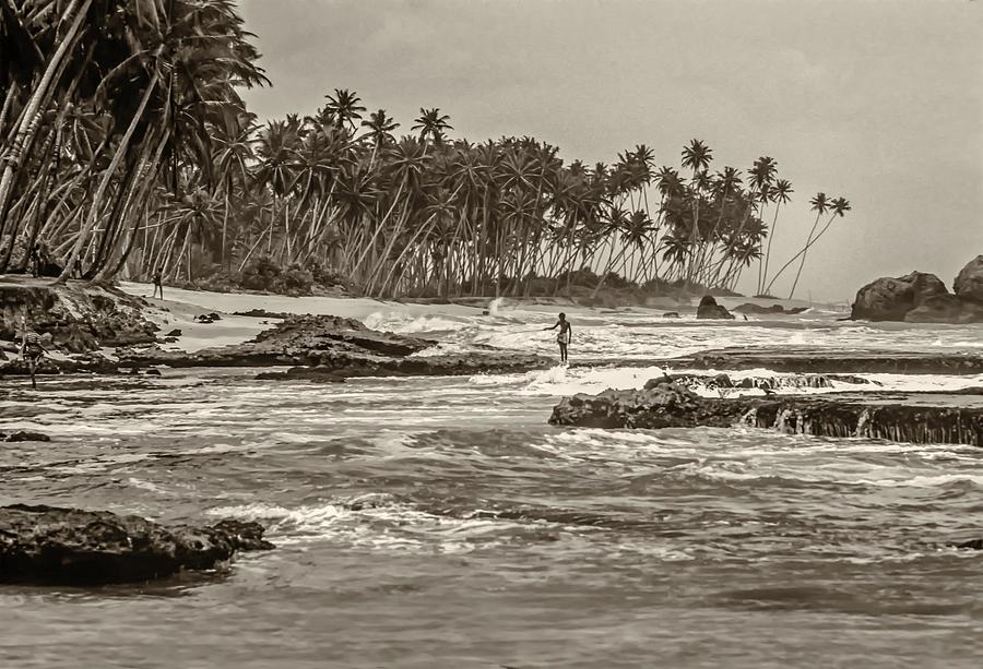Landscape Photograph - Sri Lanka sepia by Steve Harrington
