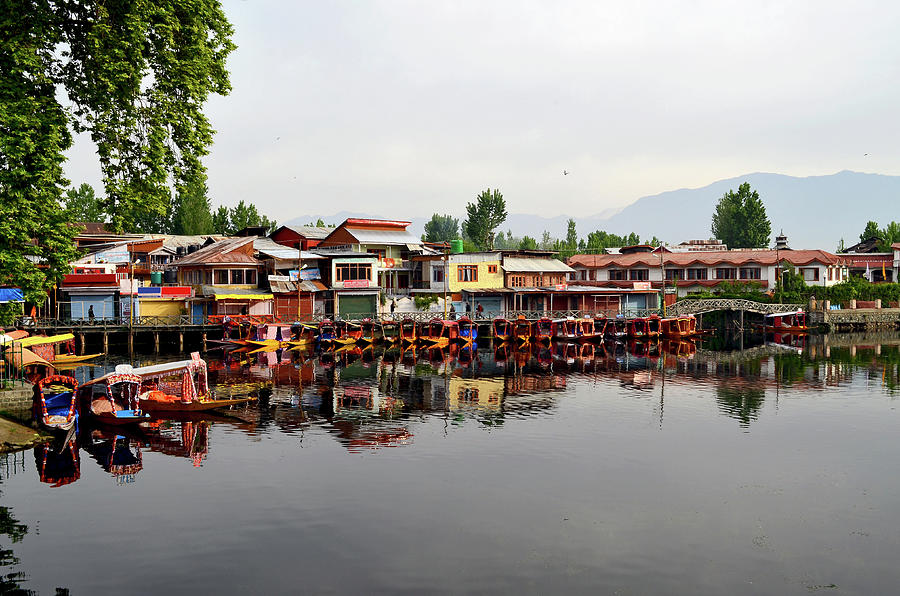 Srinagar, Jammu & Kashmir Photograph by Anand Purohit