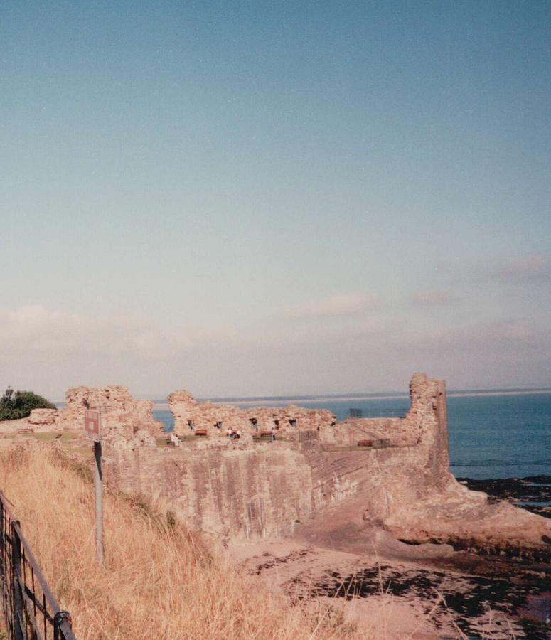Castle Photograph - St Andrews Ruins on the North Sea by Lisa Travis