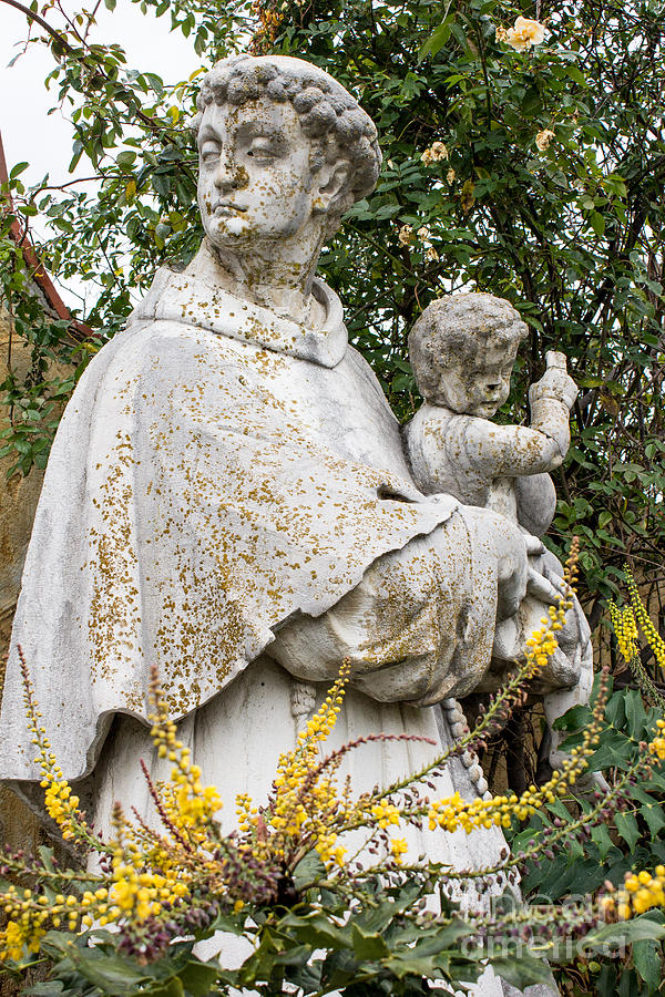 St. Anthony of Padua Photograph by Suzanne Luft