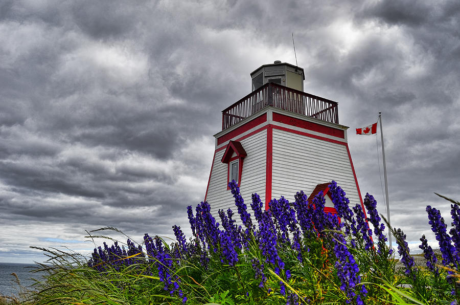 St Anthonys Lighthouse Photograph by Steve Hurt