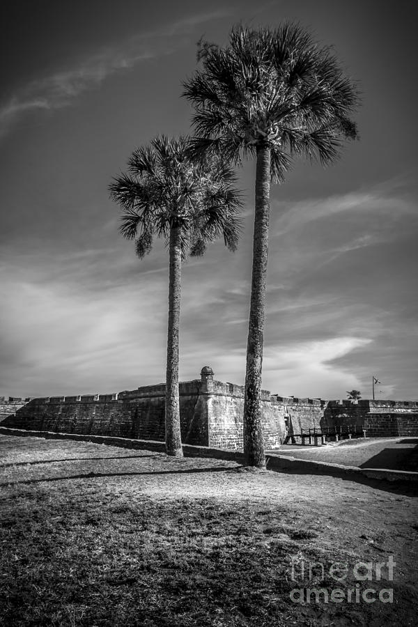 Spring Photograph - St. Augustine Fort by Marvin Spates