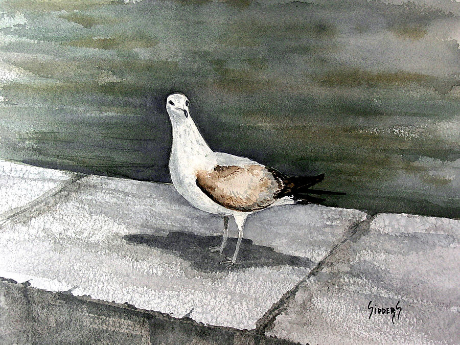 St Augustine Gull Painting by Sam Sidders