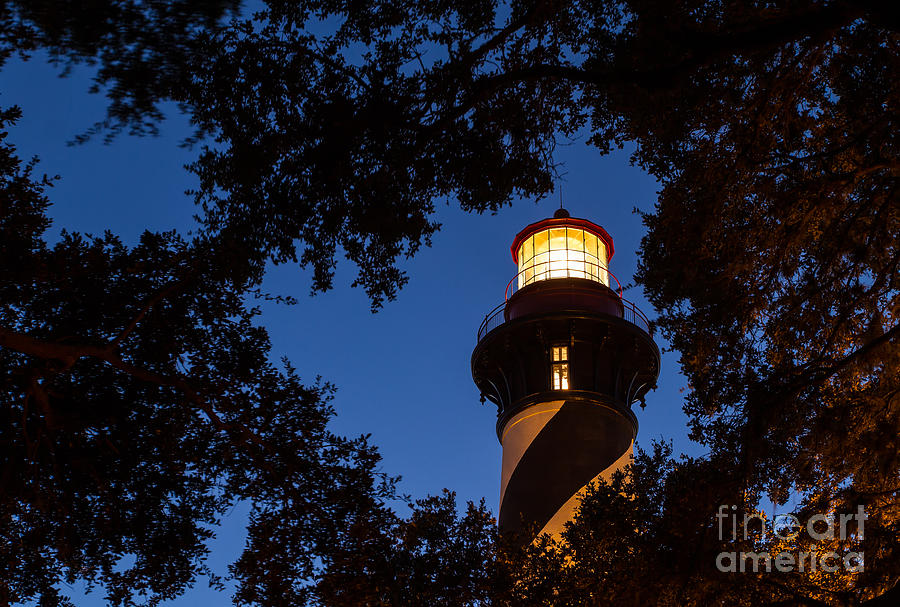 St. Augustine Lighthouse Florida Photograph by Dawna Moore Photography