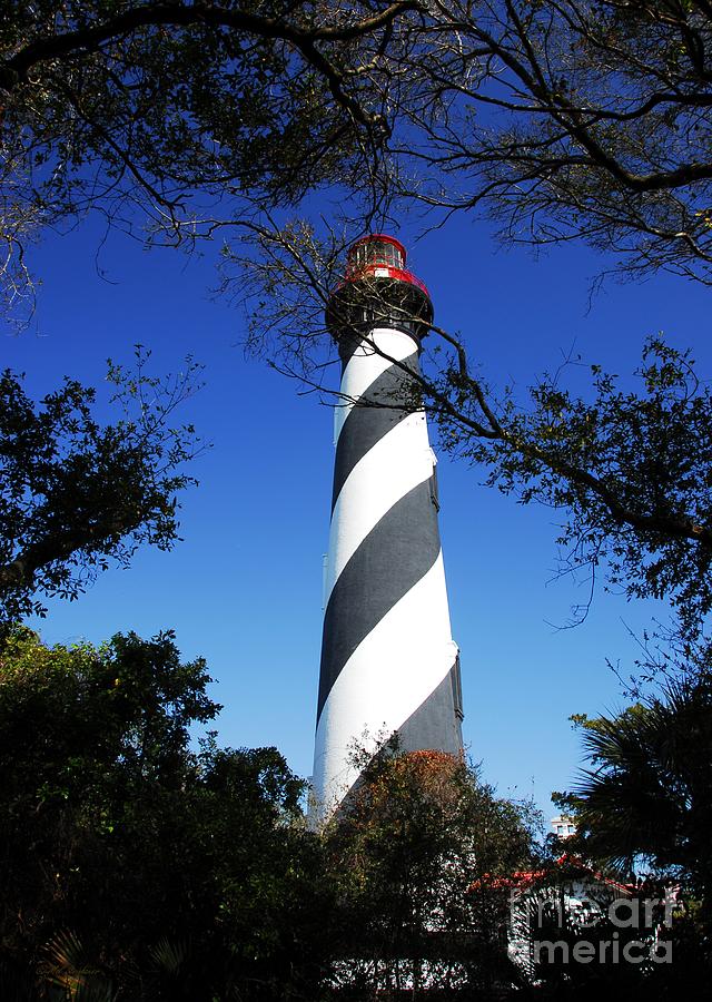 St Augustine Lighthouse Photograph by Mel Steinhauer