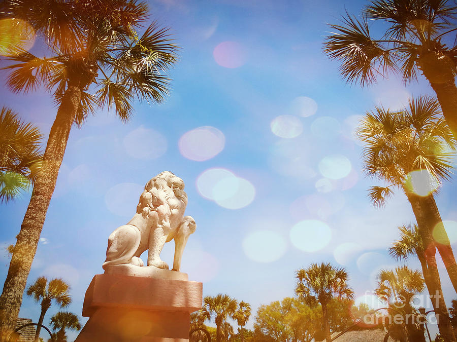 St Augustine Lion Photograph by Valerie Reeves