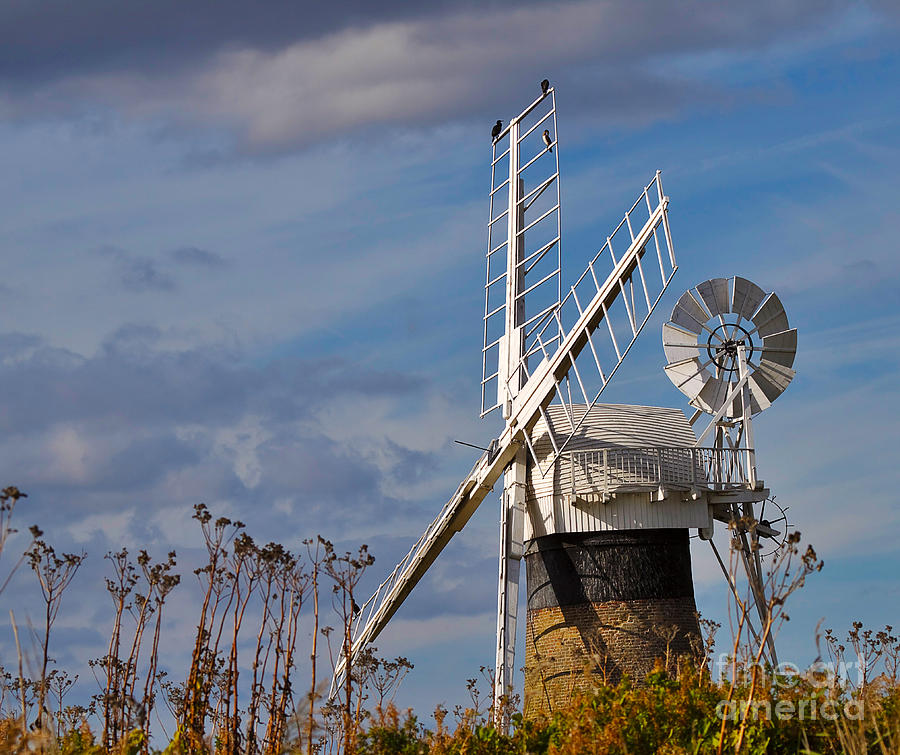 Landscape Photograph - St Benets Drainage Mill Norfolk by Louise Heusinkveld